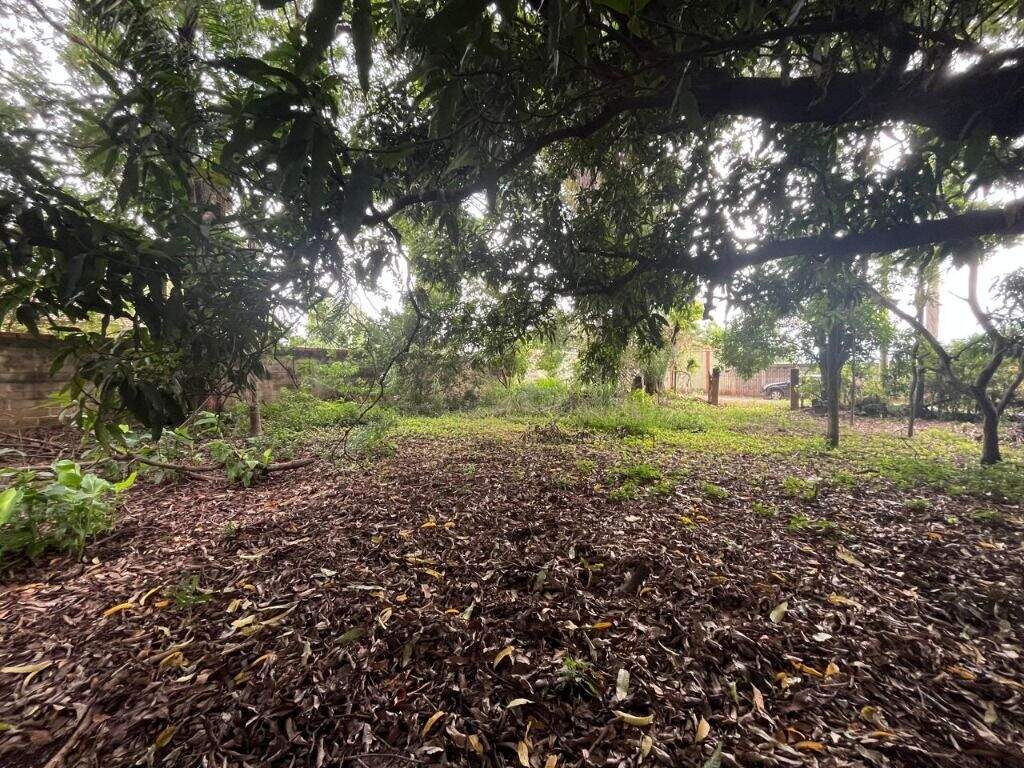 Terreno à venda no Dois Córregos: 