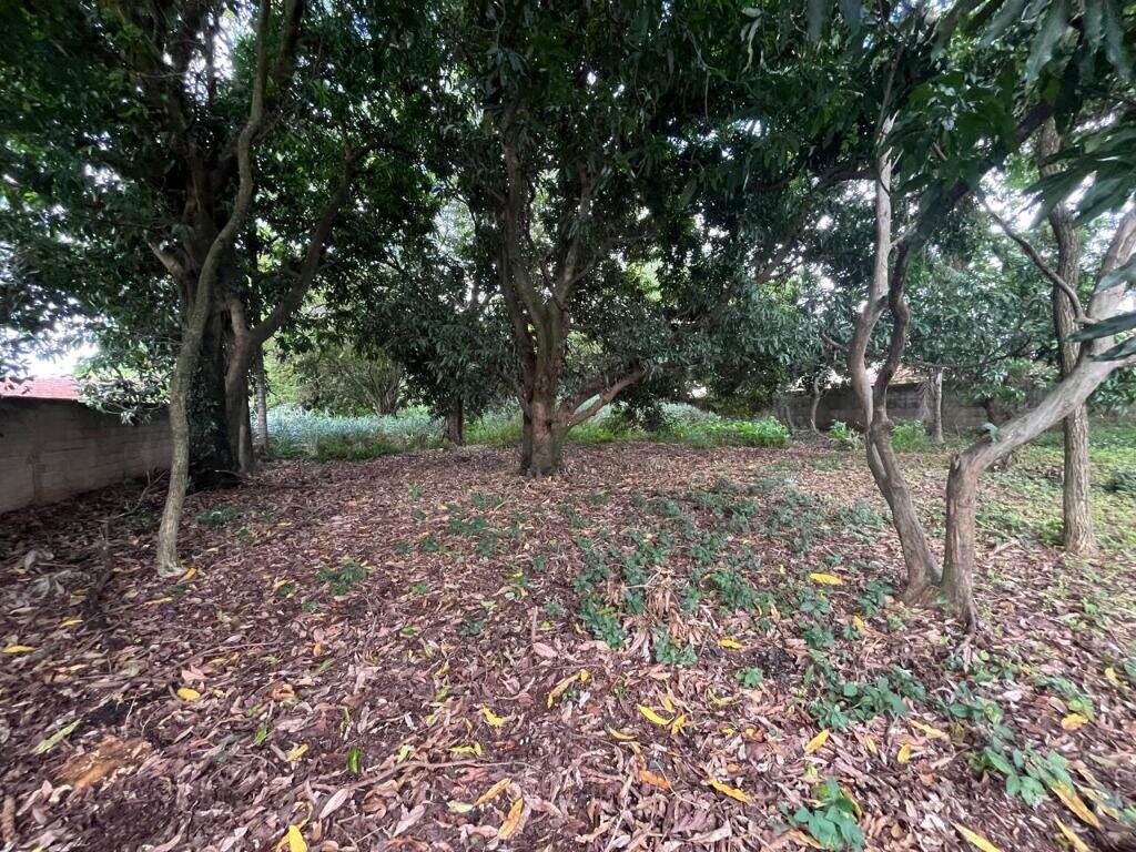 Terreno à venda no Dois Córregos: 