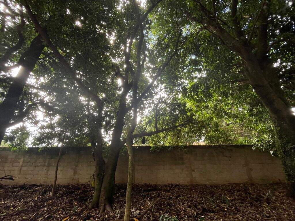 Terreno à venda no Dois Córregos: 