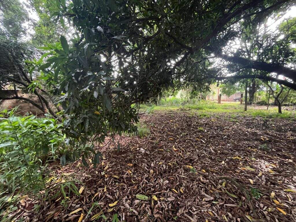 Terreno à venda no Dois Córregos: 