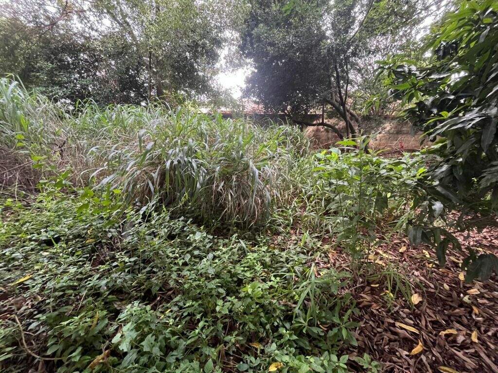 Terreno à venda no Dois Córregos: 
