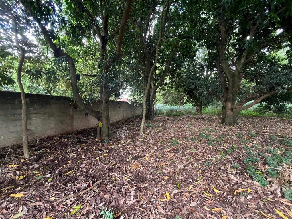 Terreno à venda no Dois Córregos: 