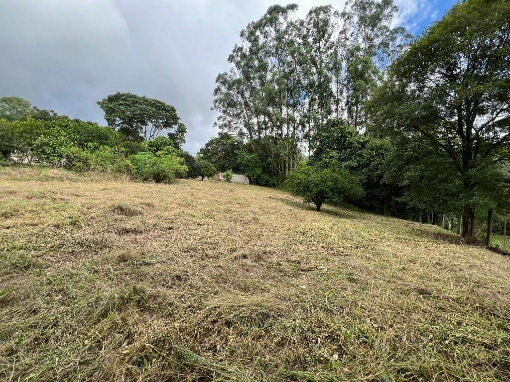 Terreno à venda no Morato: 