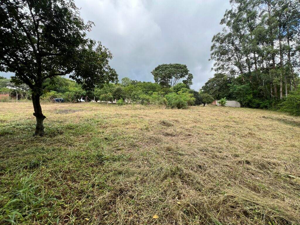 Terreno à venda no Morato: 