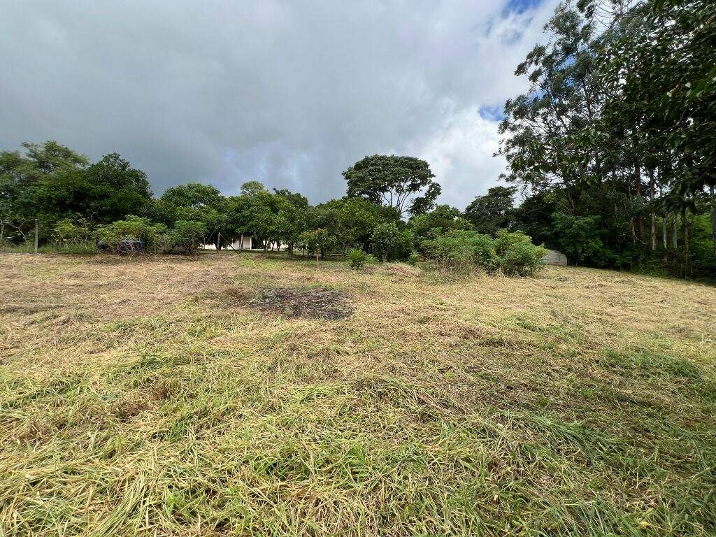 Terreno à venda no Morato: 