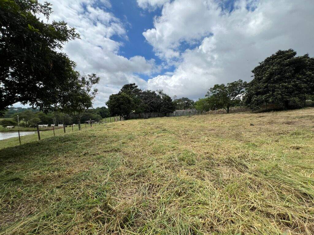 Terreno à venda no Morato: 