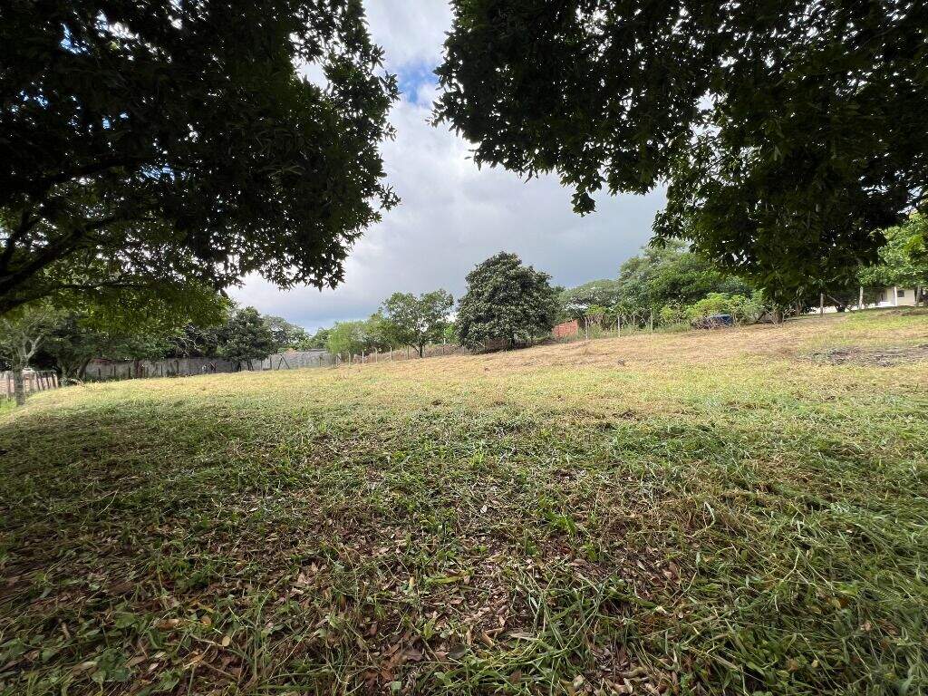 Terreno à venda no Morato: 