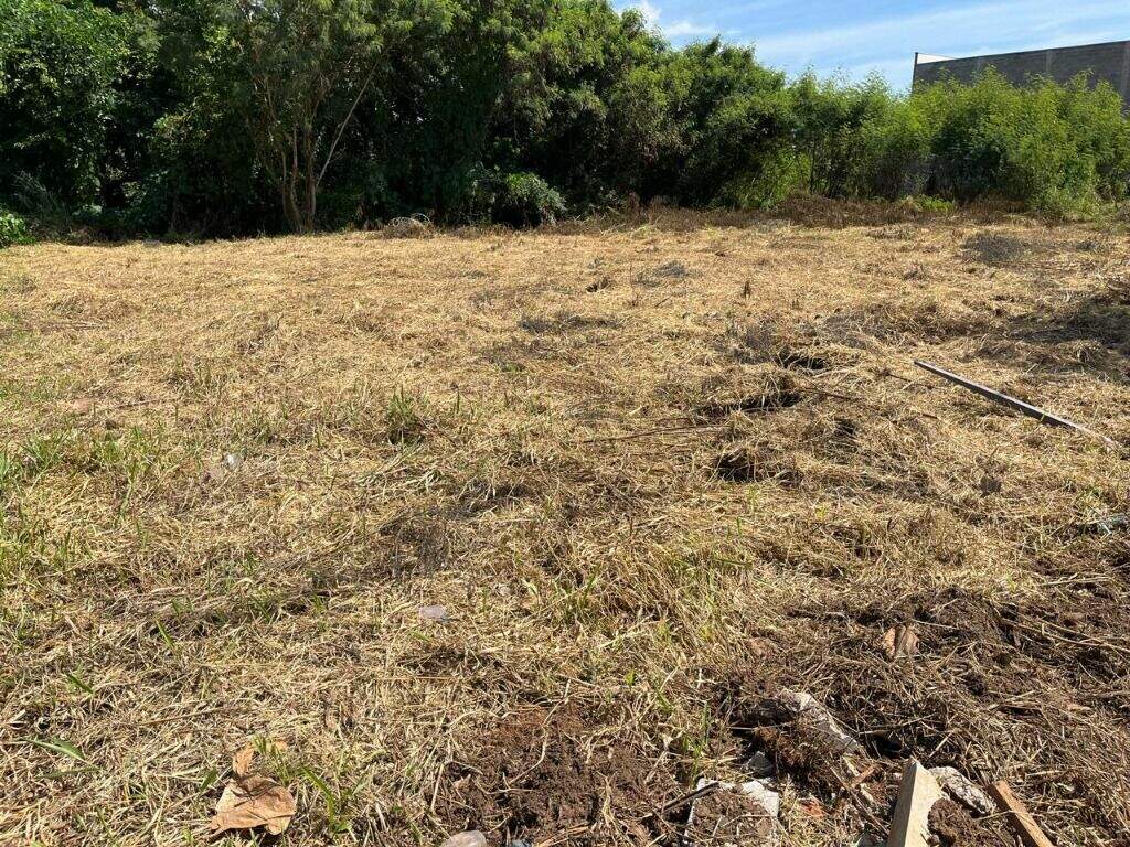 Terreno à venda no Vila Industrial: 