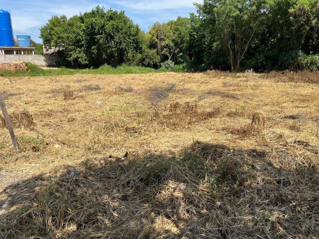 Terreno à venda no Vila Industrial: 