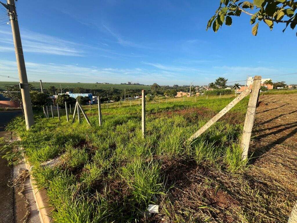 Terreno à venda no São Francisco: 