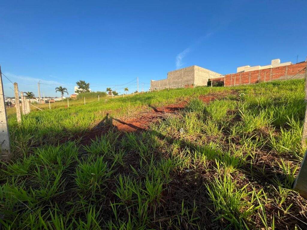 Terreno à venda no São Francisco: 