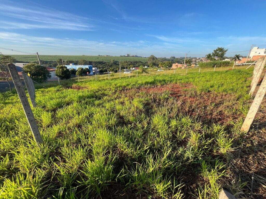 Terreno à venda no São Francisco: 