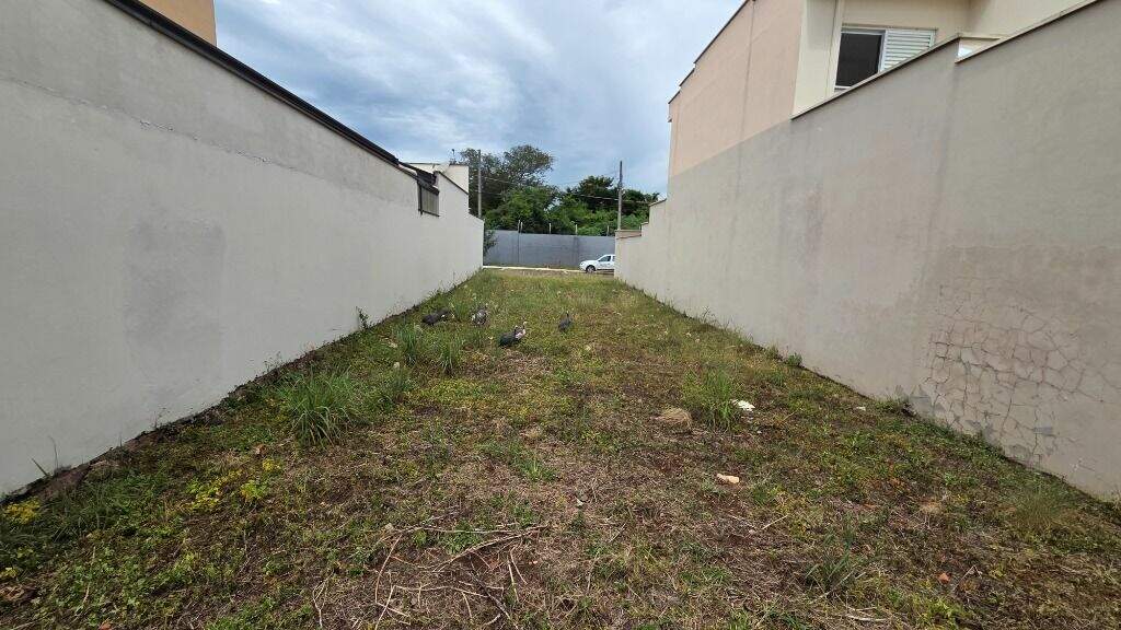Terreno à venda no Jardim Ipanema: 