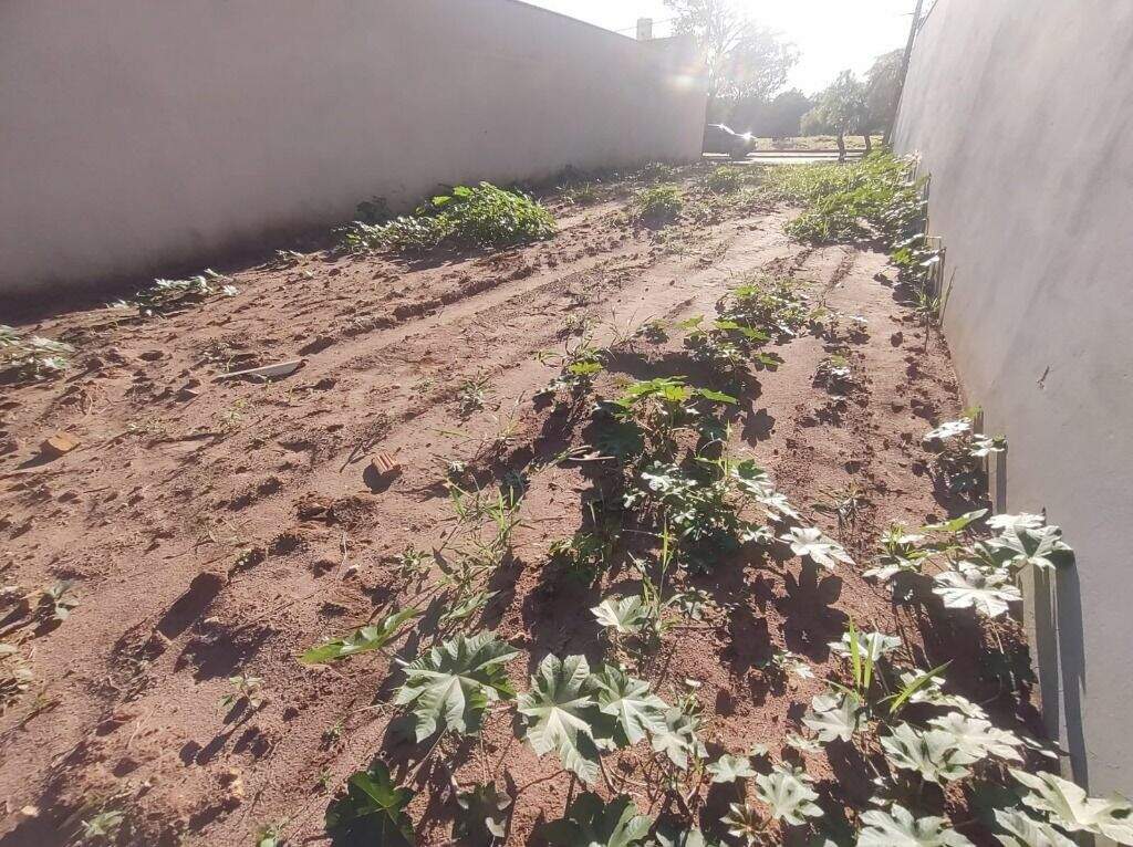 Terreno à venda no Água Branca: 