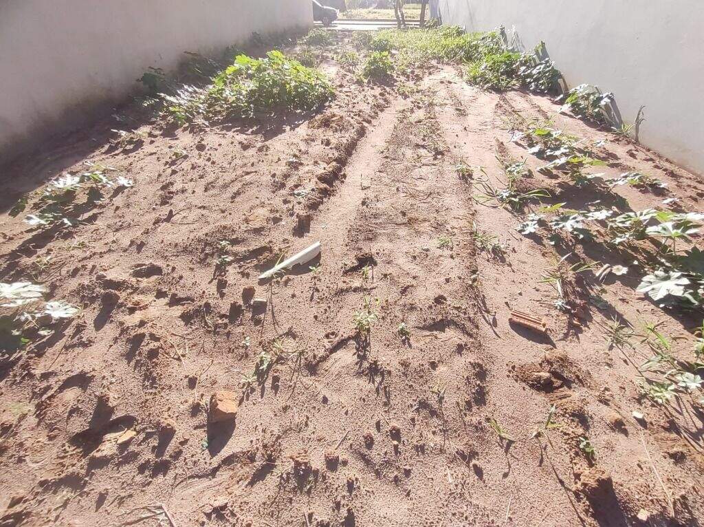 Terreno à venda no Água Branca: 