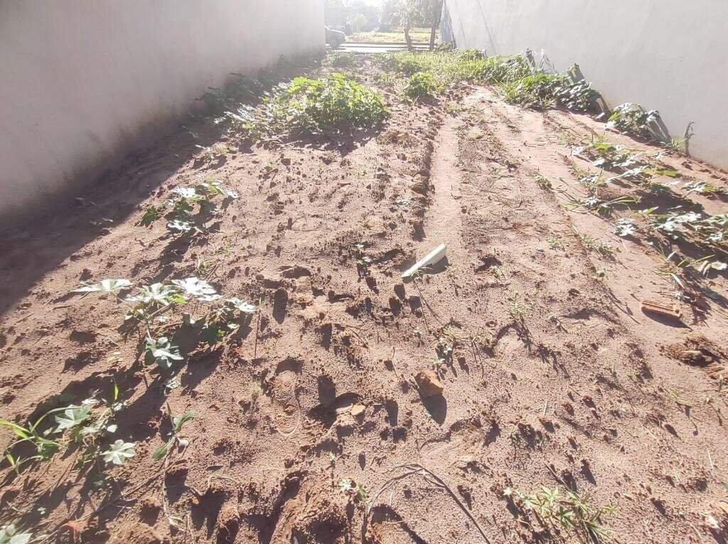 Terreno à venda no Água Branca: 