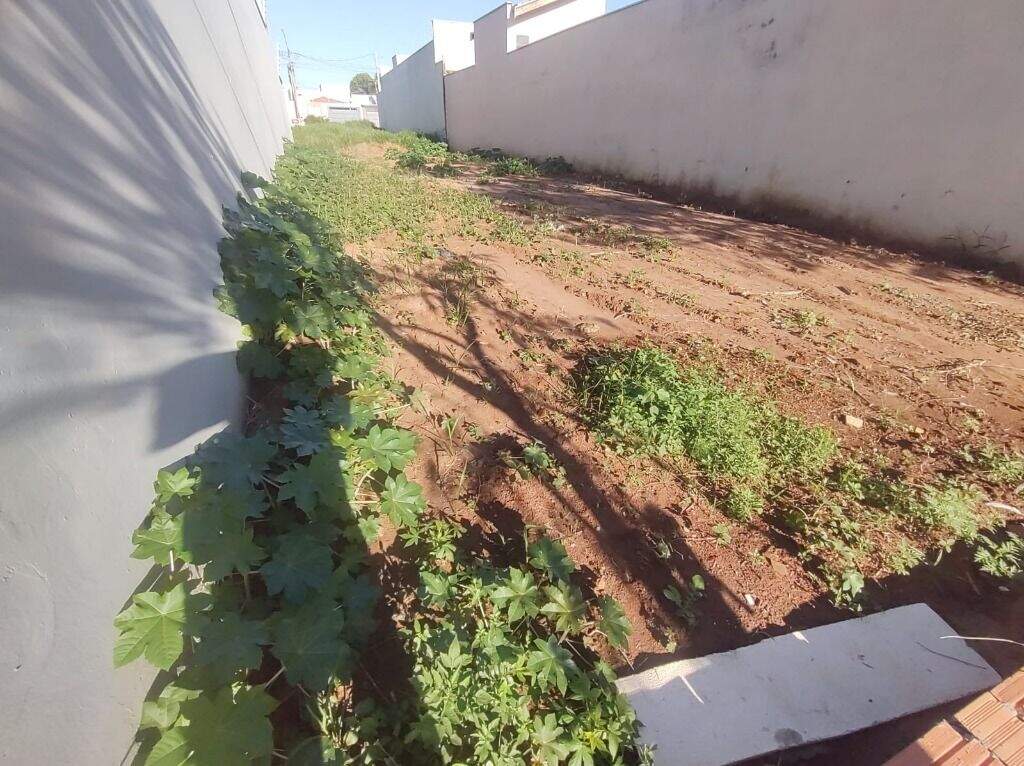Terreno à venda no Água Branca: 