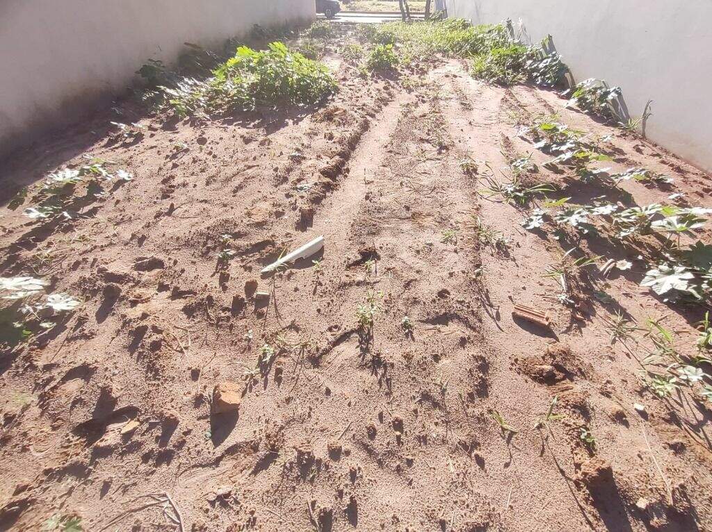 Terreno à venda no Água Branca: 
