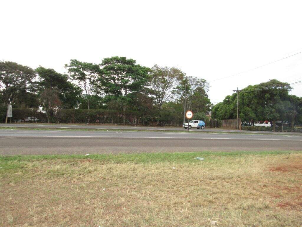 Área para aluguel no Parque São Jorge: 