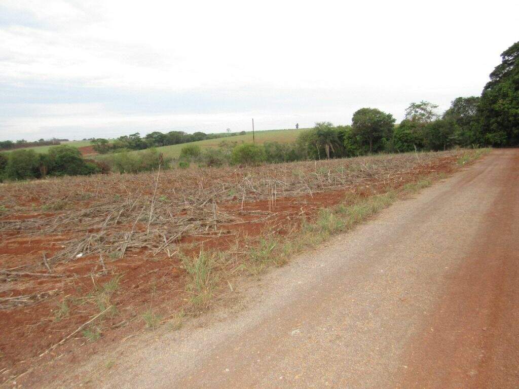 Área para aluguel no Parque São Jorge: 