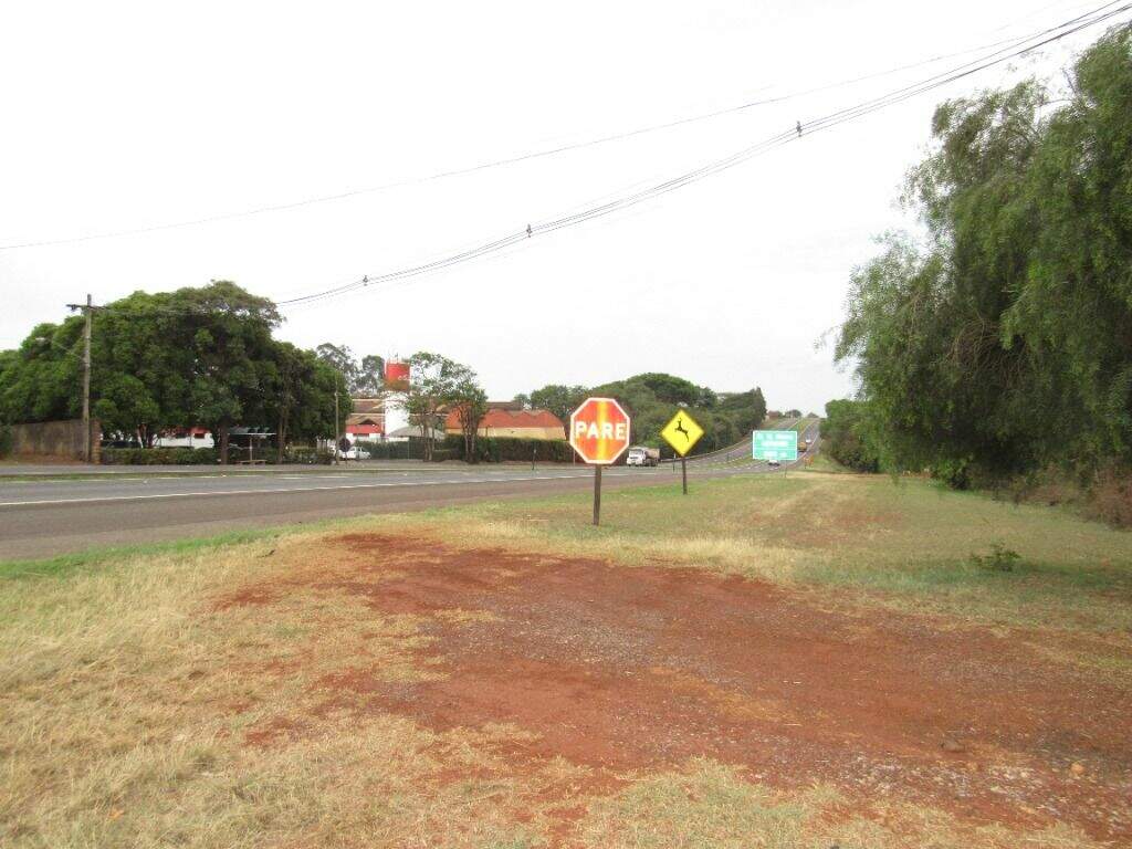Área para aluguel no Parque São Jorge: 