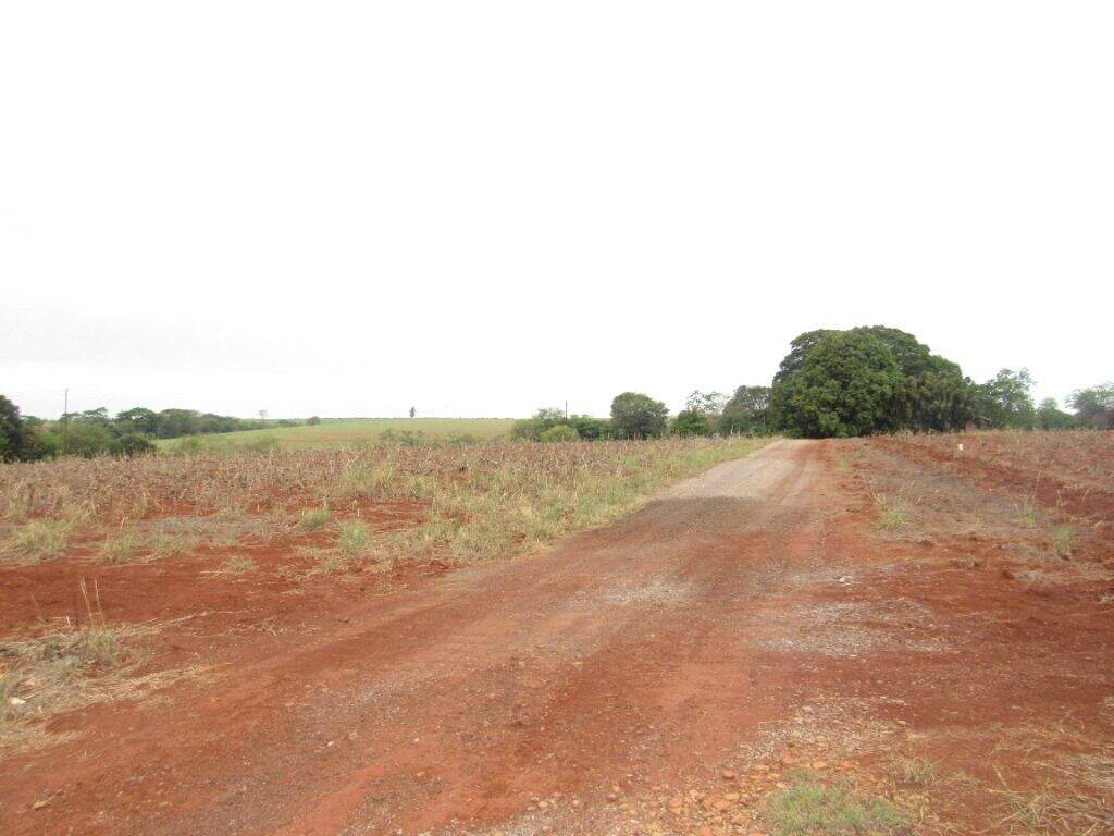 Área para aluguel no Parque São Jorge: 