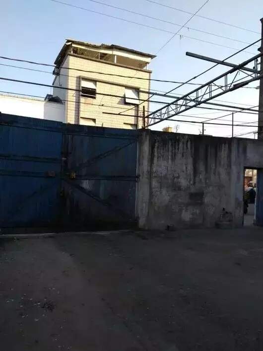  Terreno para aluguel em Macuco, Santos - SP: 