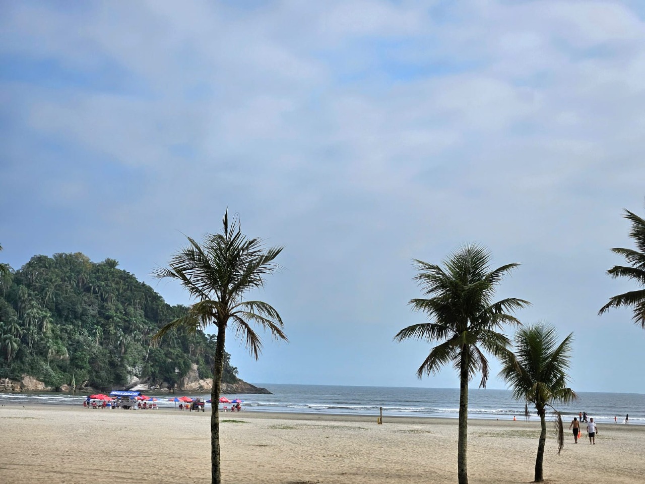 Apartamento à venda no José Menino: 