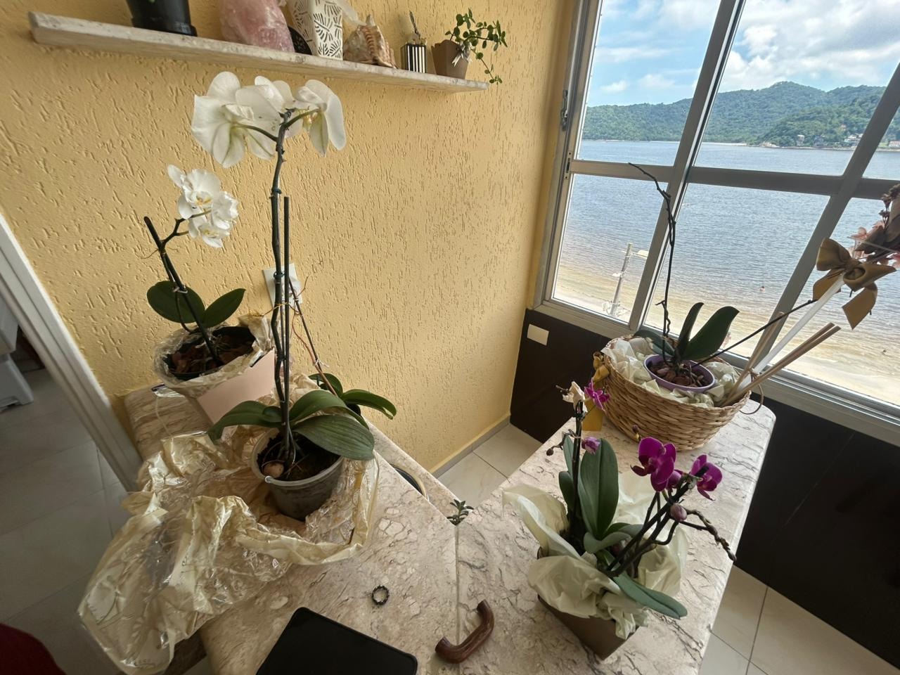 Apartamento à venda no Itararé: 