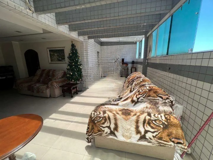 Cobertura para aluguel no Embaré: 