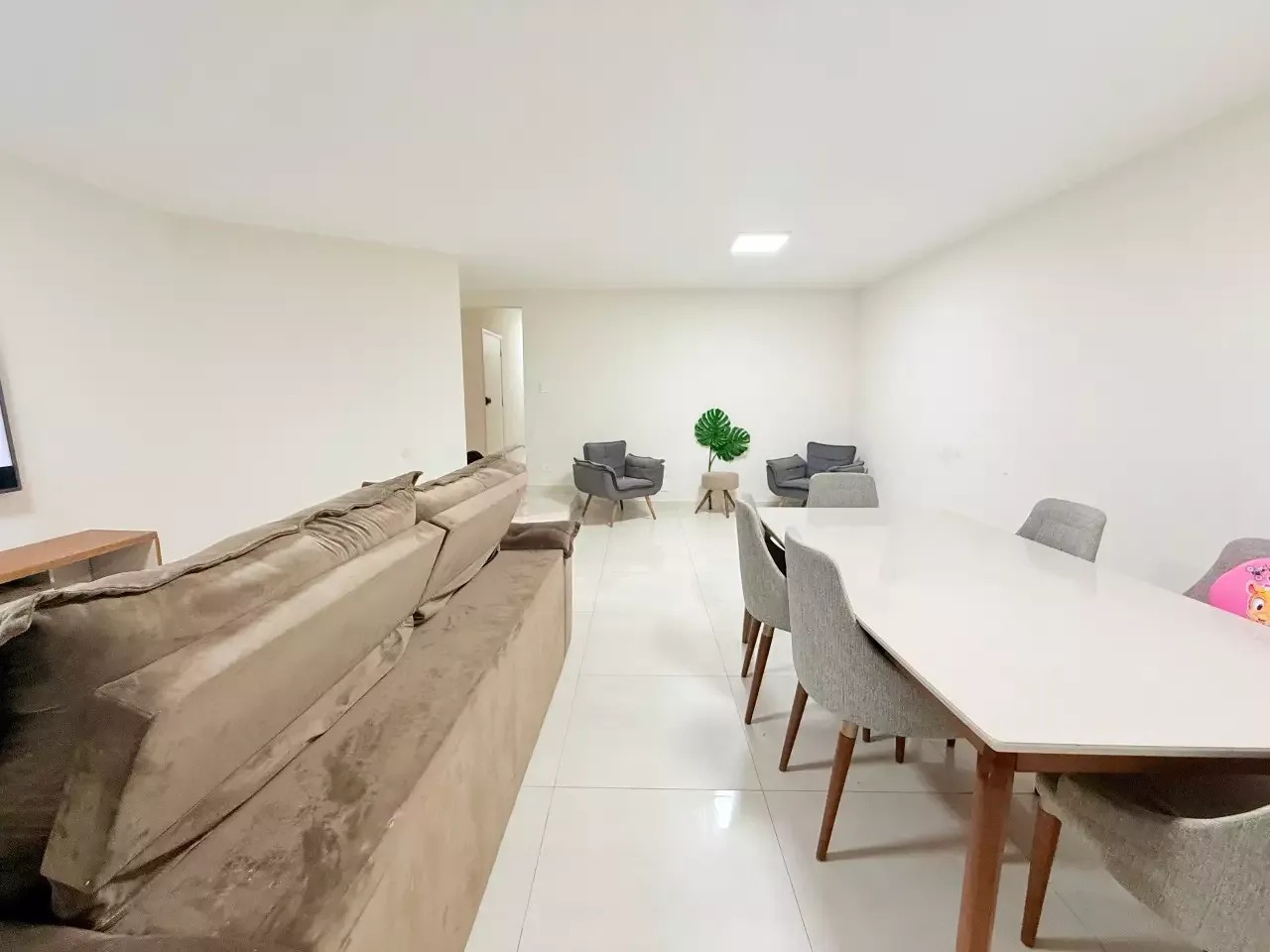 Apartamento para aluguel no José Menino: 