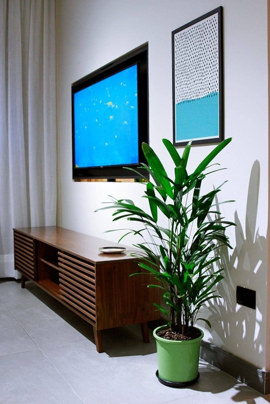 Apartamento para aluguel no Ponta da Praia: 