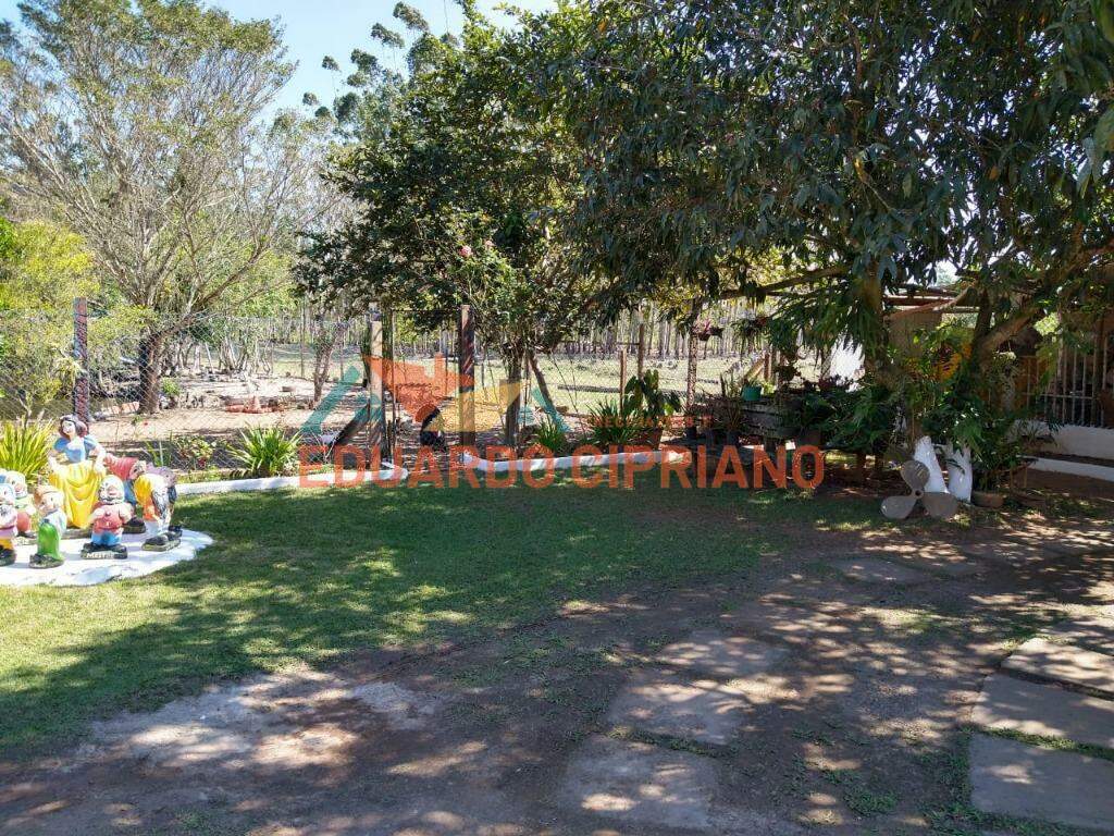 Sítio à venda no Pegorelli: 