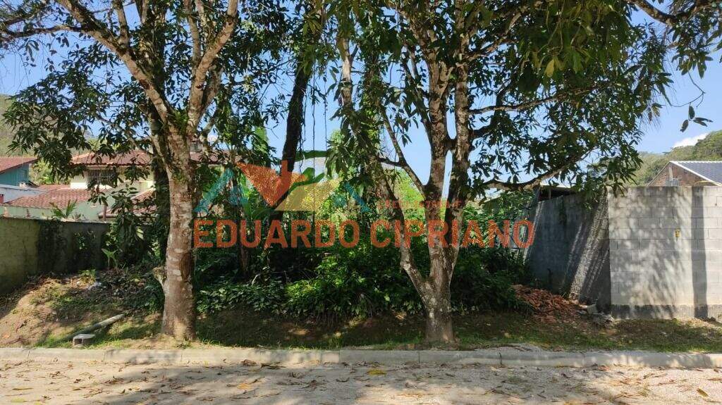 Terreno à venda no Massaguaçu: 