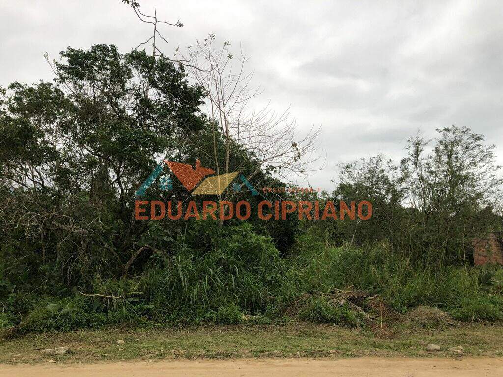 Terreno à venda no Massaguaçu: 