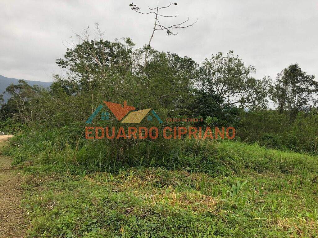 Terreno à venda no Massaguaçu: 