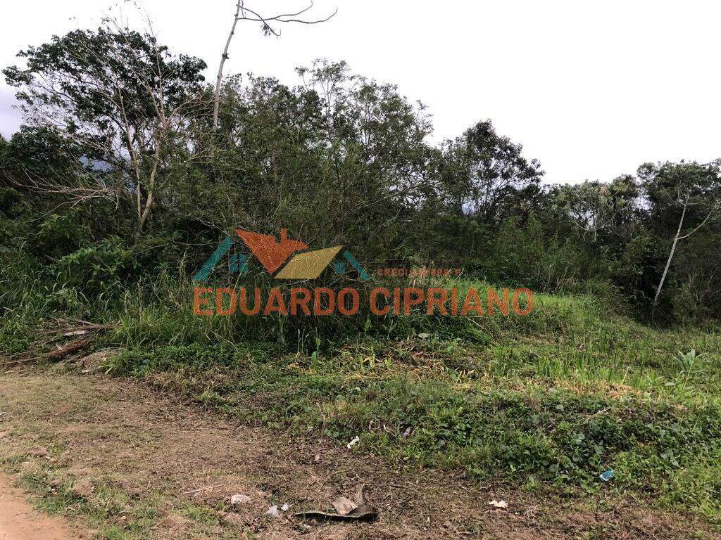 Terreno à venda no Massaguaçu: 