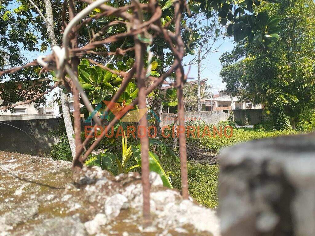 Terreno à venda no Massaguaçu: 