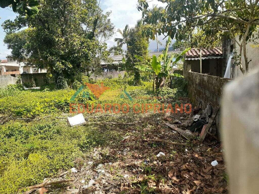 Terreno à venda no Massaguaçu: 