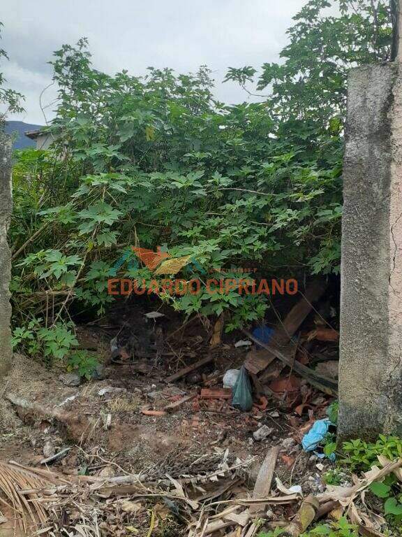 Terreno à venda no Massaguaçu: 