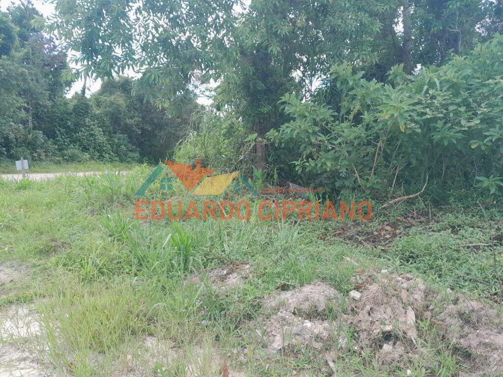 Terreno à venda no Massaguaçu: 