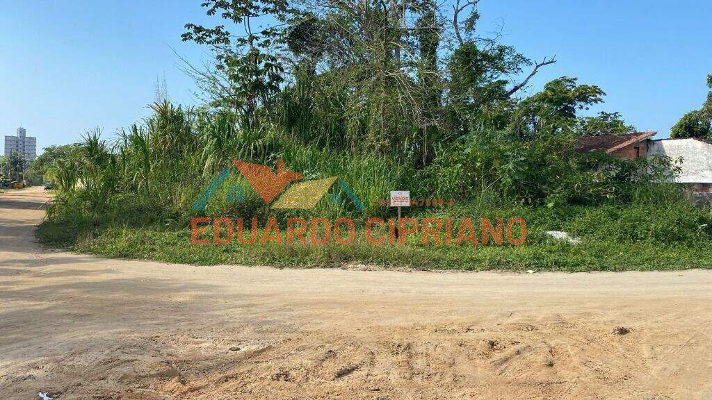 Terreno à venda no Massaguaçu: 