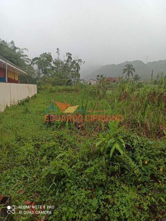 Terreno à venda no Massaguaçu: 