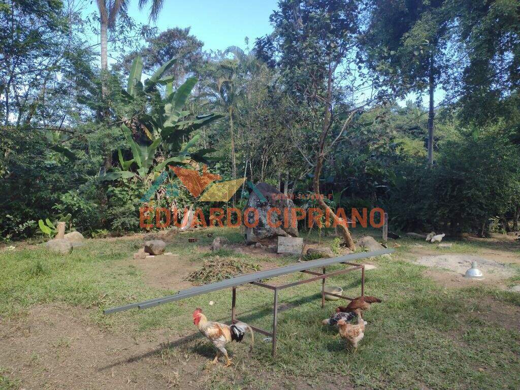 Terreno à venda no Massaguaçu: 