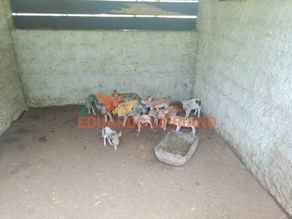 Chácara à venda no Barranco Alto: 