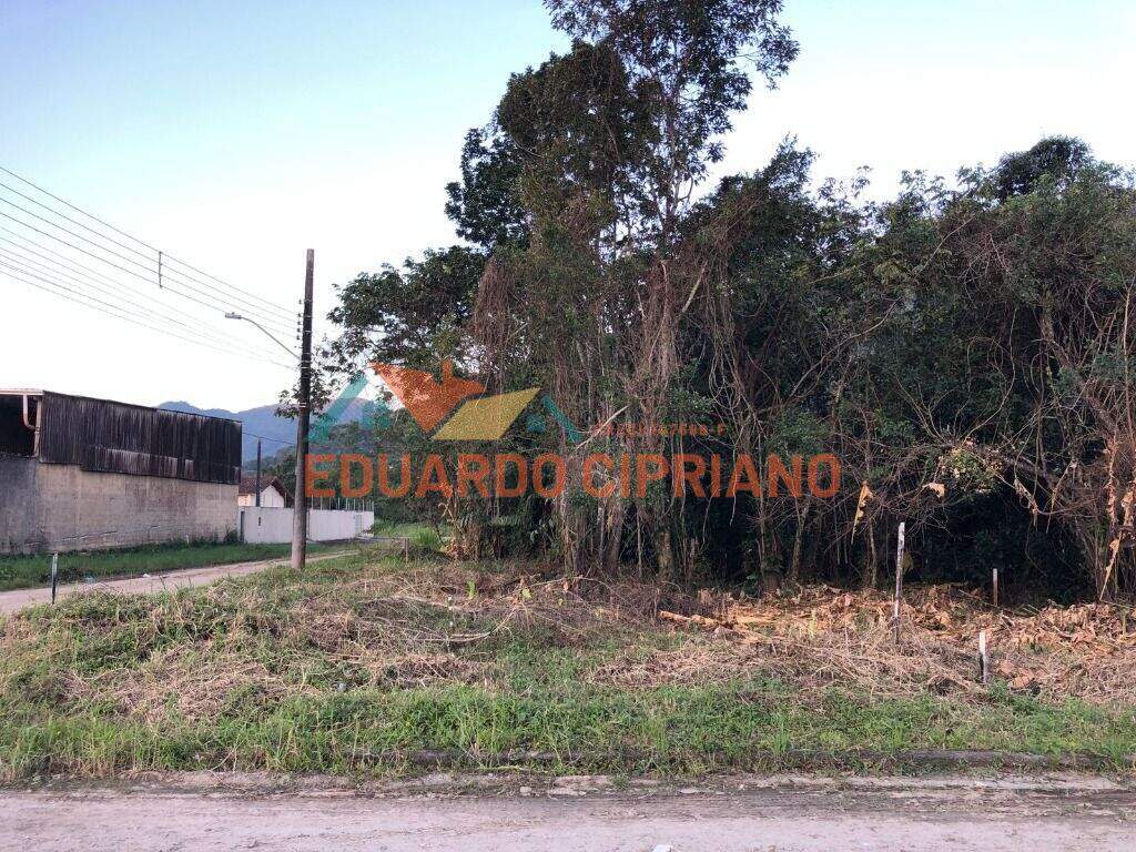 Terreno à venda no Tabatinga: 