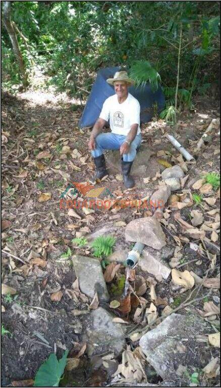 Terreno à venda no Zona Rural: 