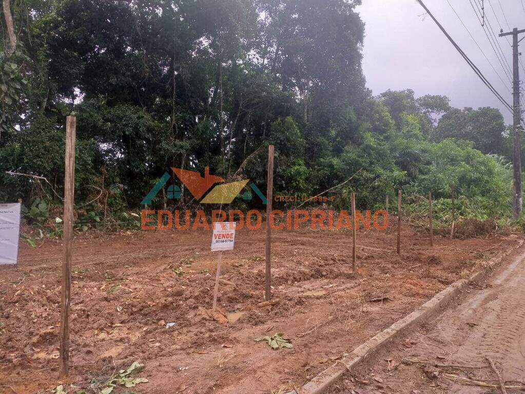 Terreno à venda no Massaguaçu: 