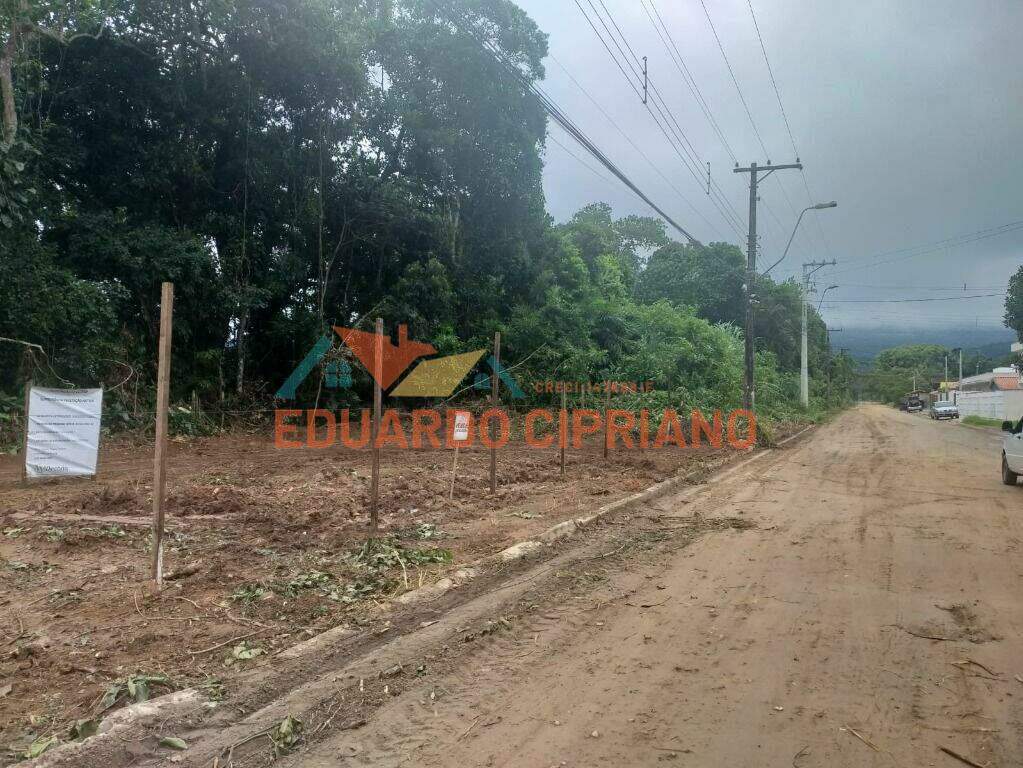 Terreno à venda no Massaguaçu: 