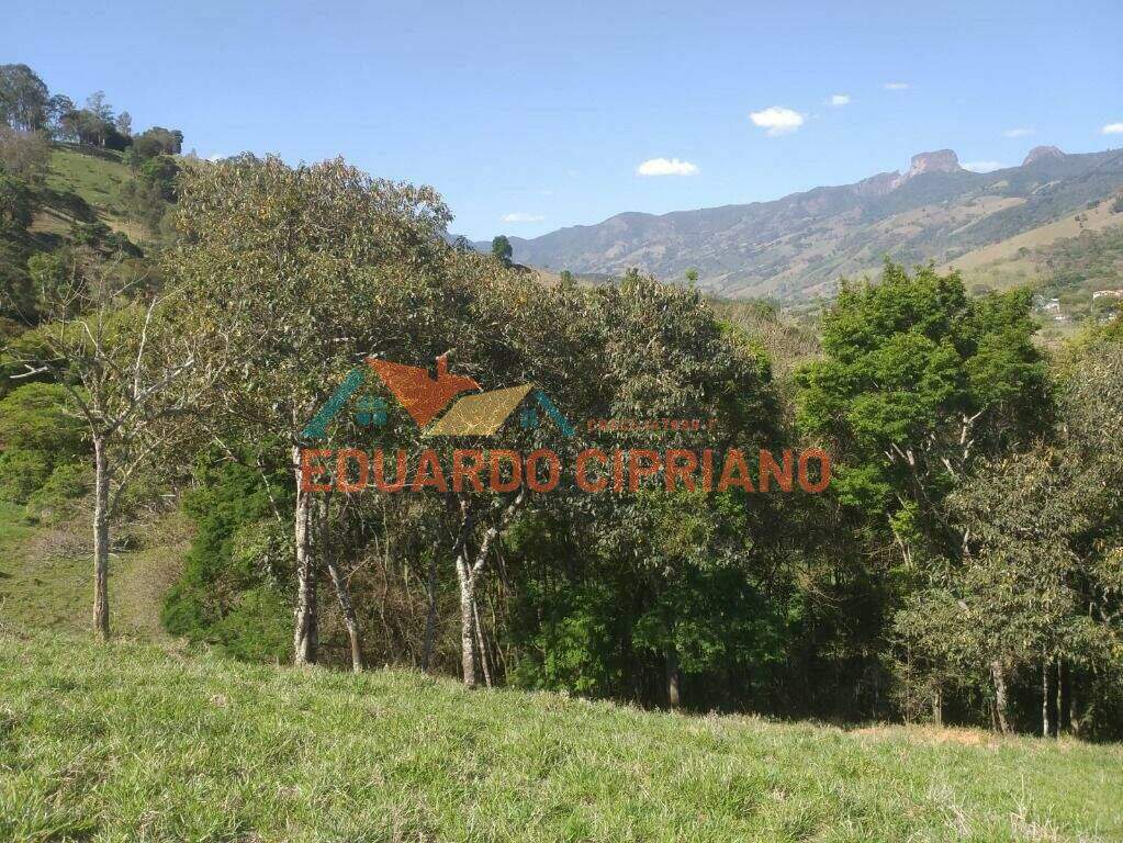 Área à venda no Zona Rural: 